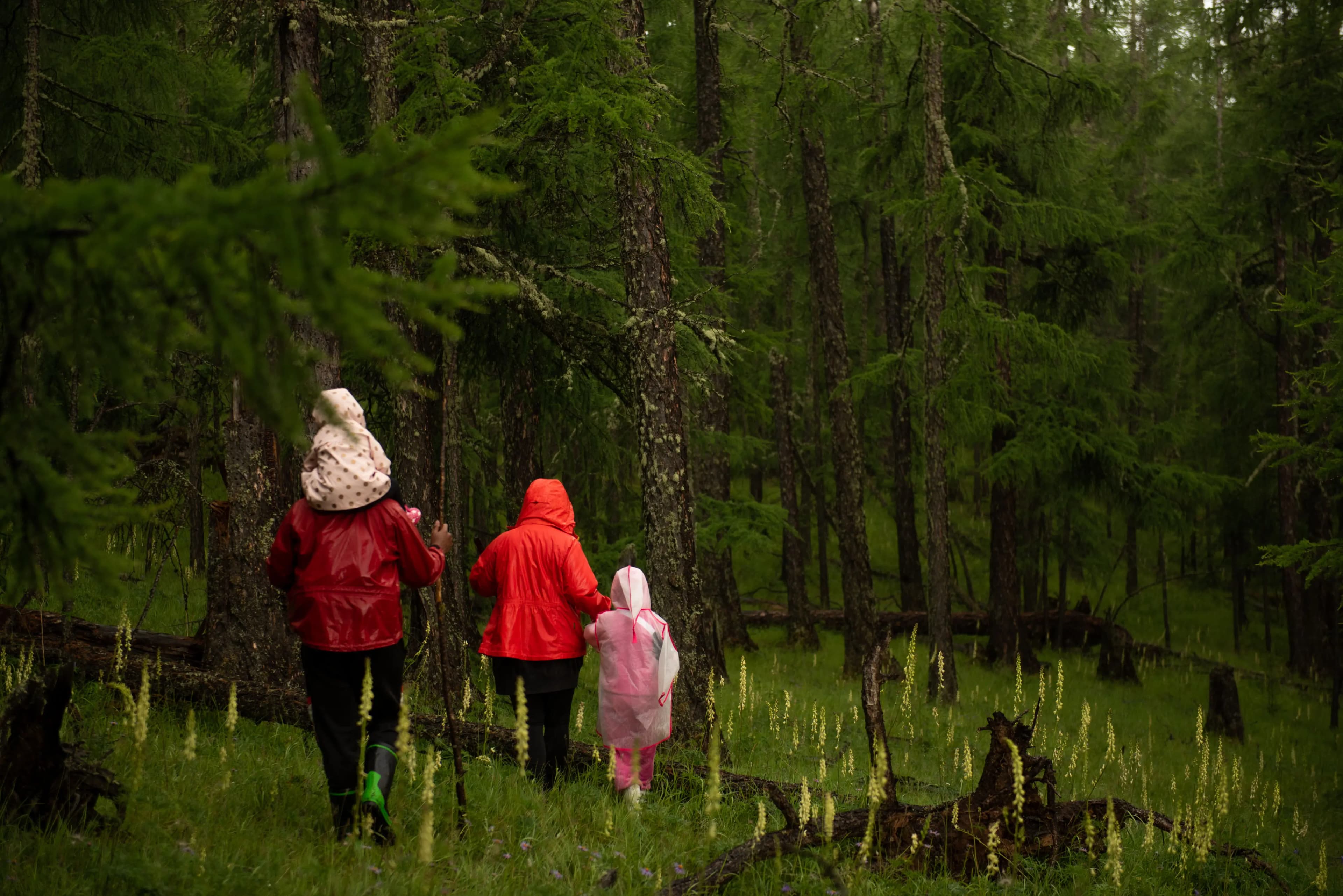 cabins — wellness mirage after