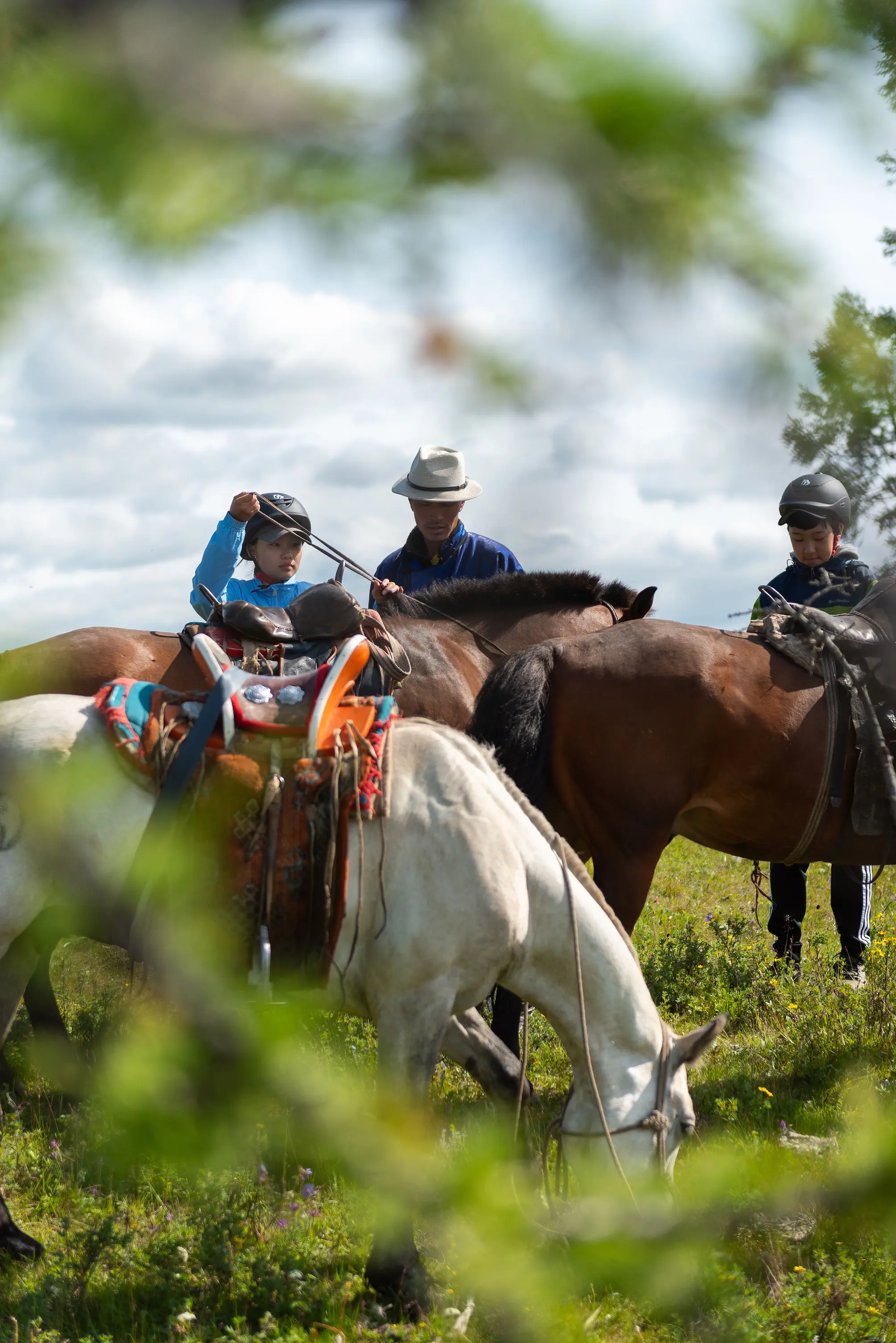 gallery — adventures — DBR_1974