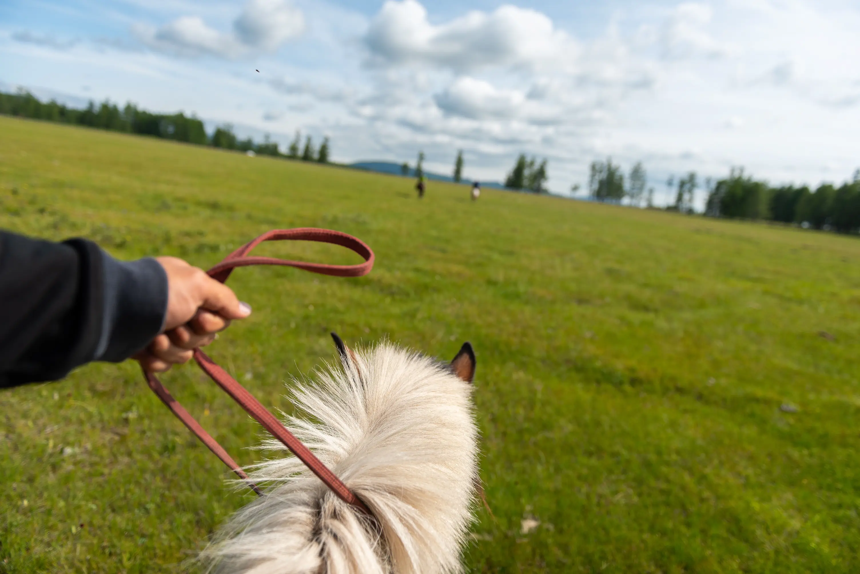 gallery — adventures — DBR_1996