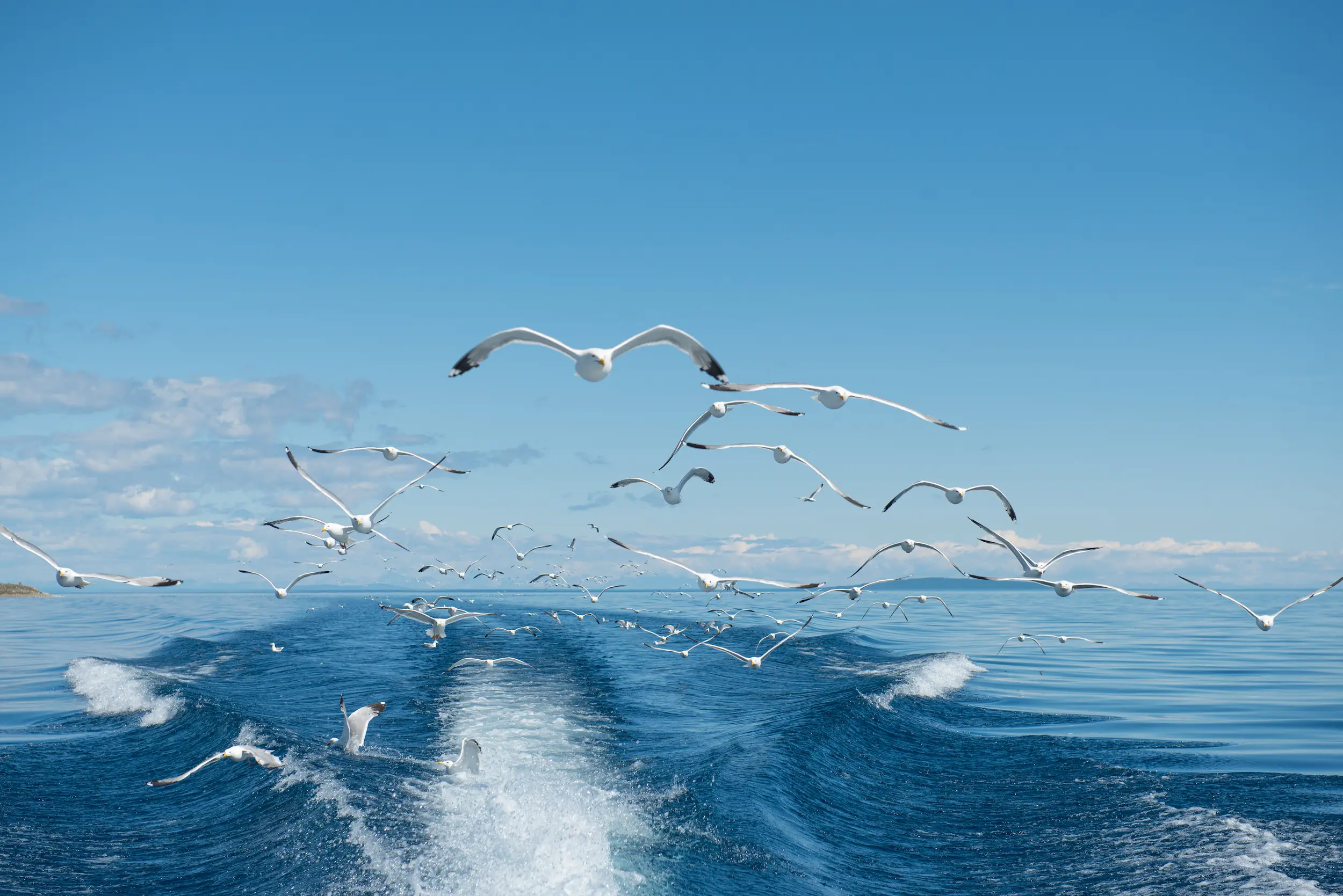 gallery — adventures — DBR_4167