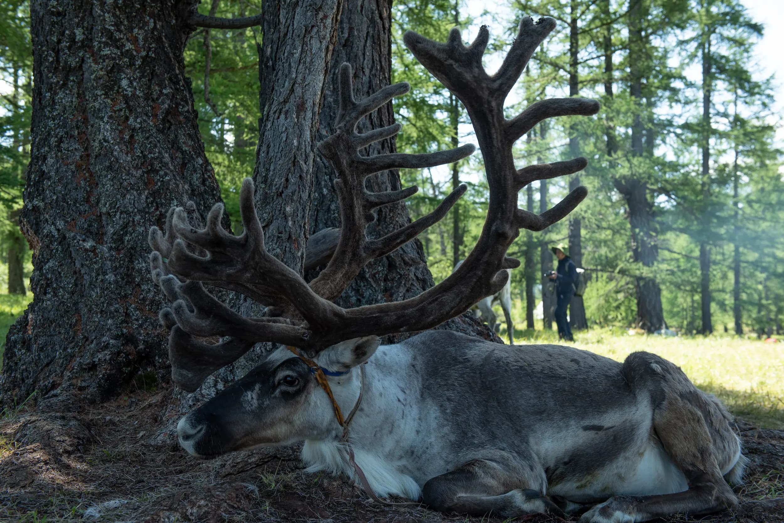 gallery — adventures — DBR_4329