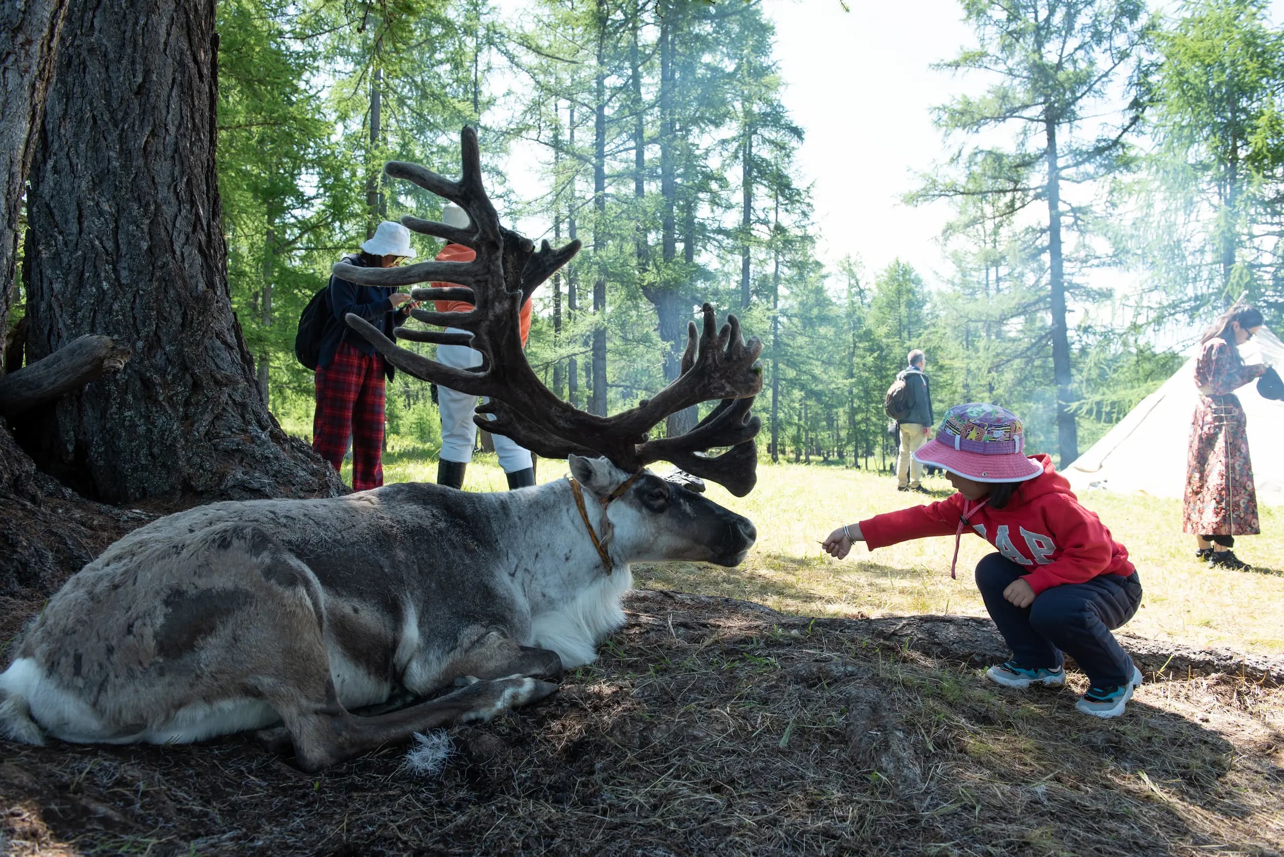 gallery — adventures — DBR_4391