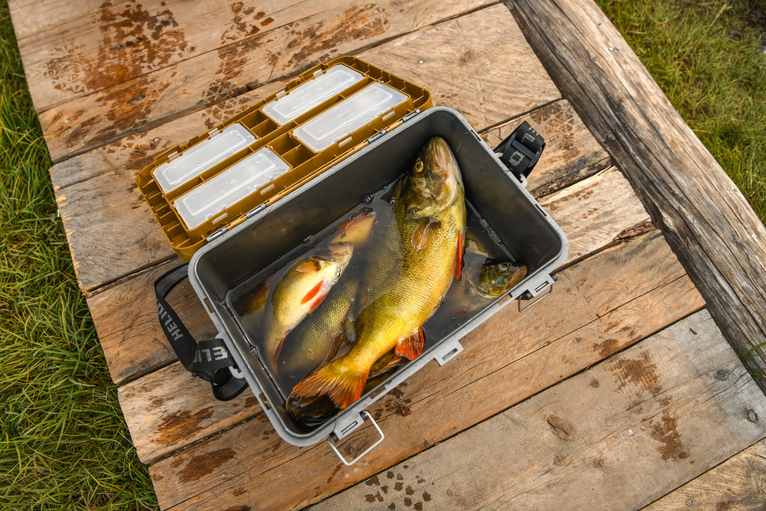 gallery — adventures — DBR_6720