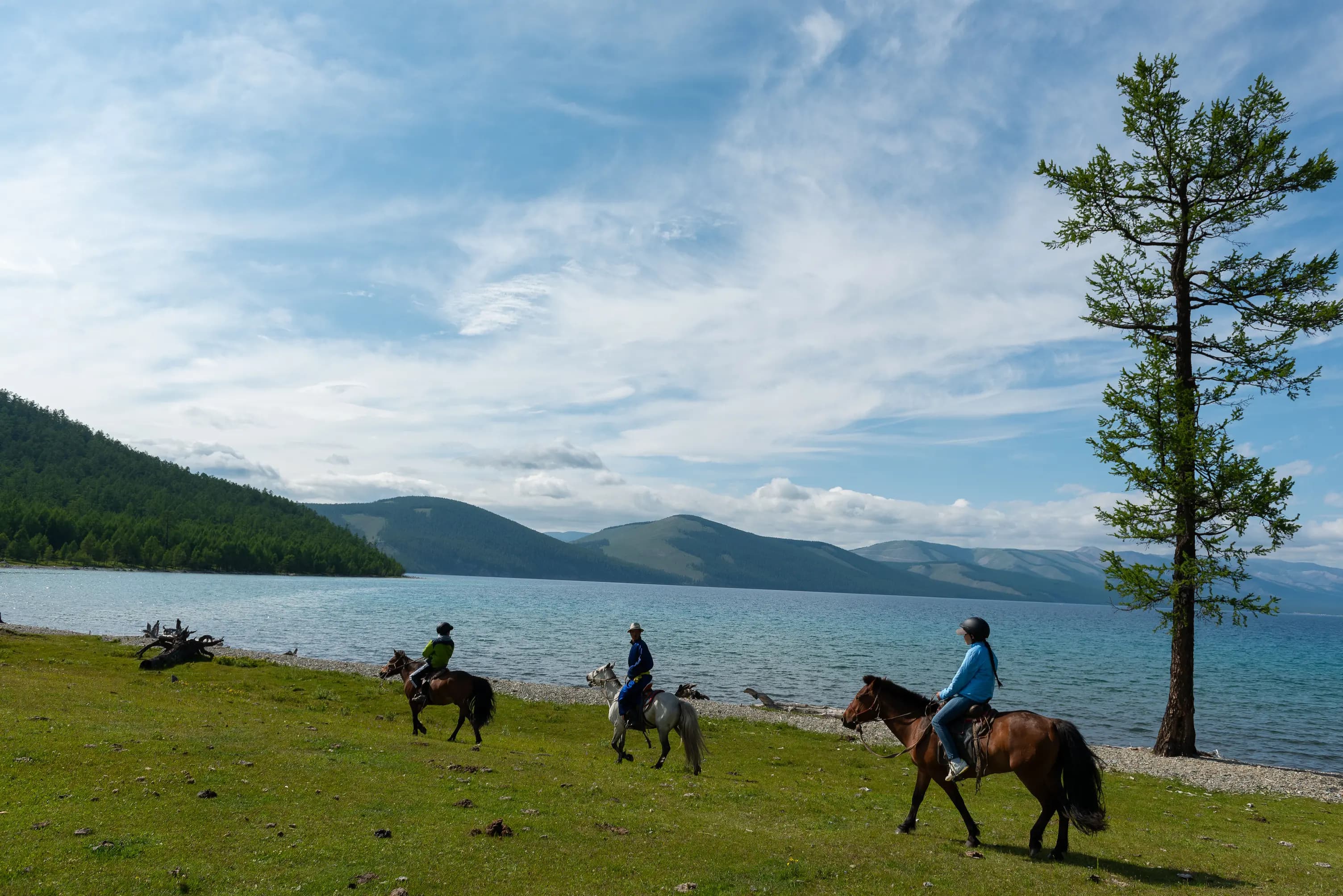 gallery — the resort — DBR_1902