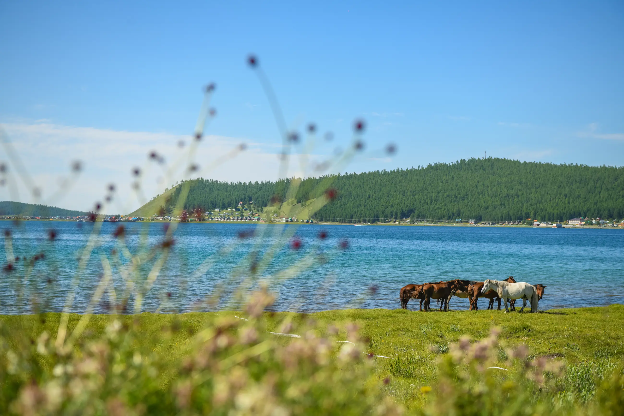 gallery — the resort — DBR_5777