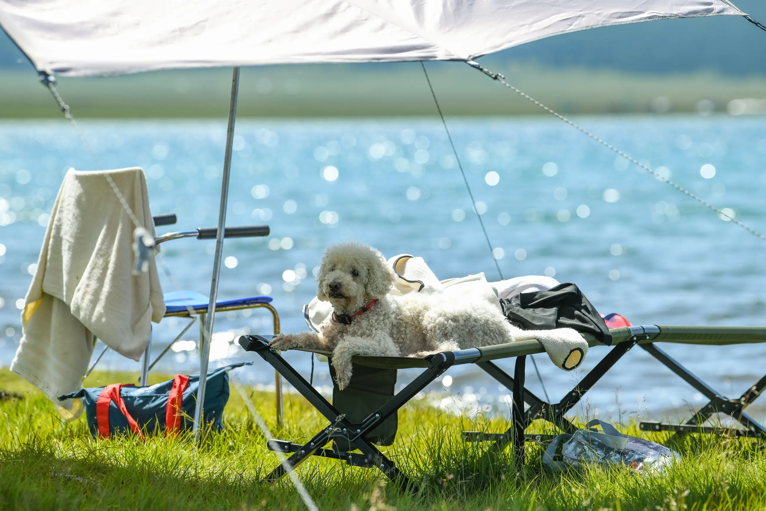 gallery — the resort — DBR_6014