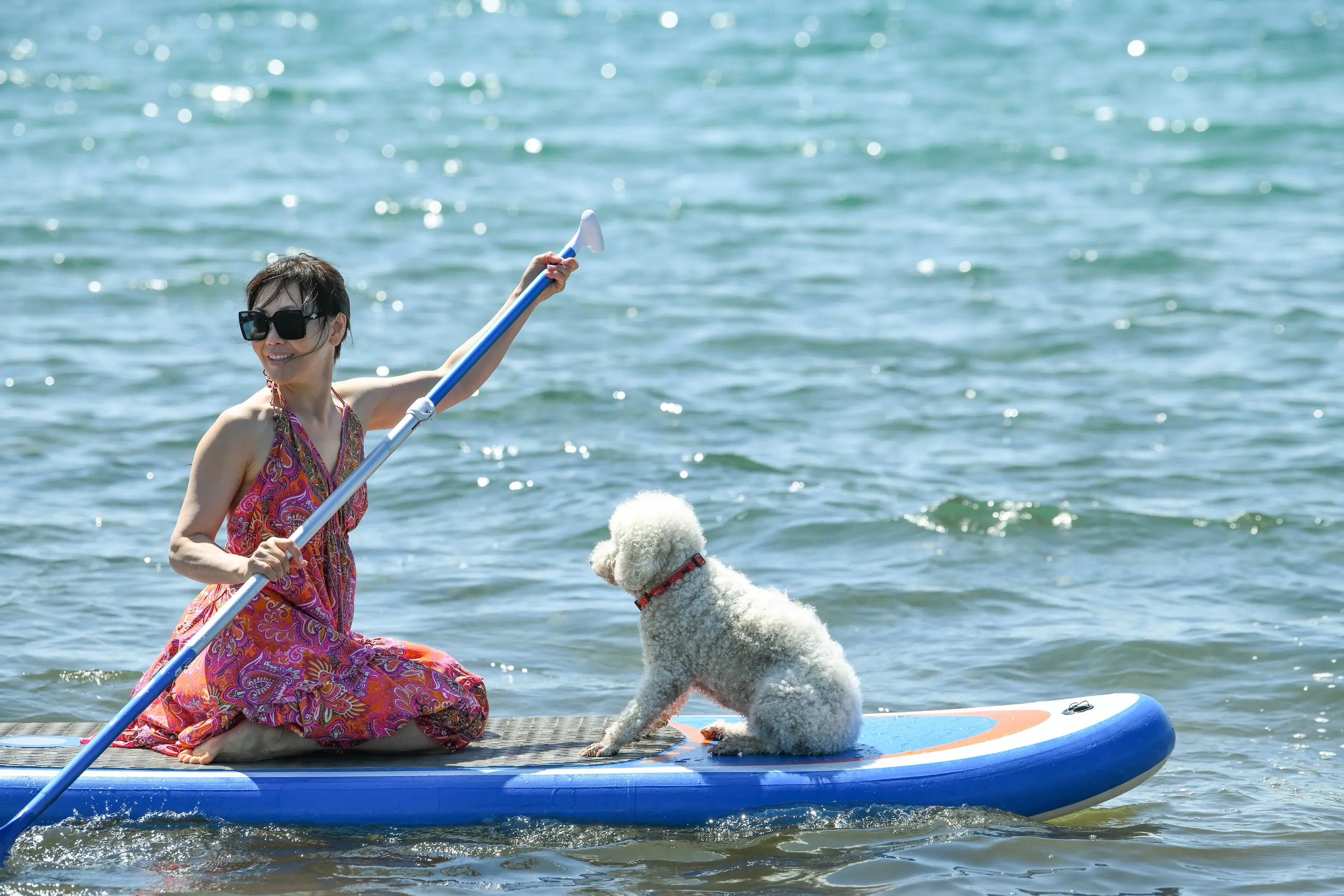 gallery — the resort — DBR_6282