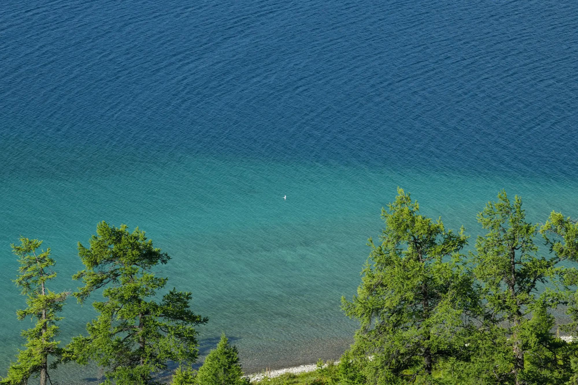 gallery — the resort — DBR_7684