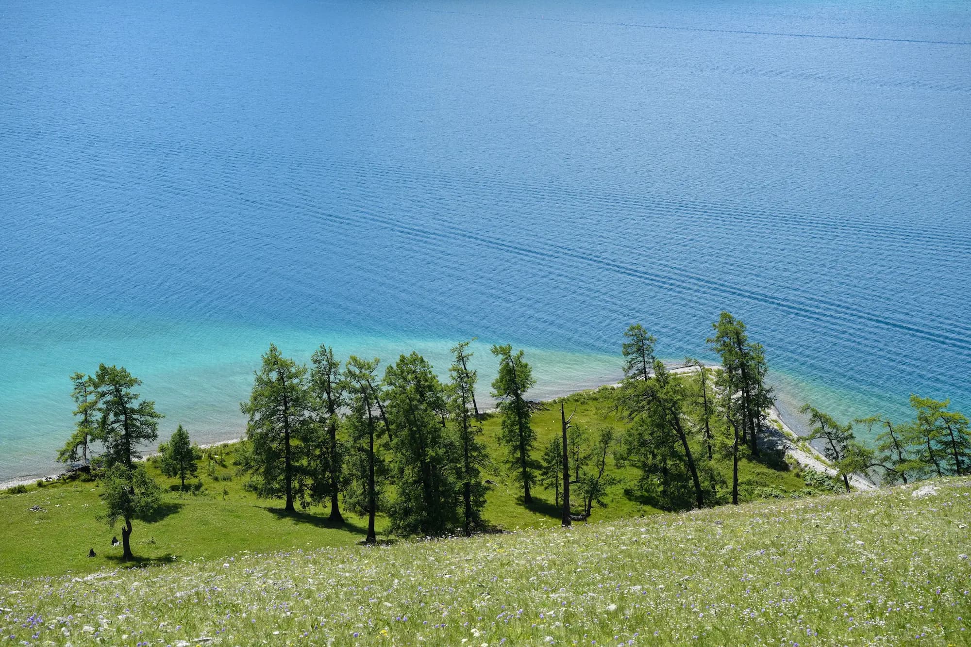 gallery — the resort — DBR_8025