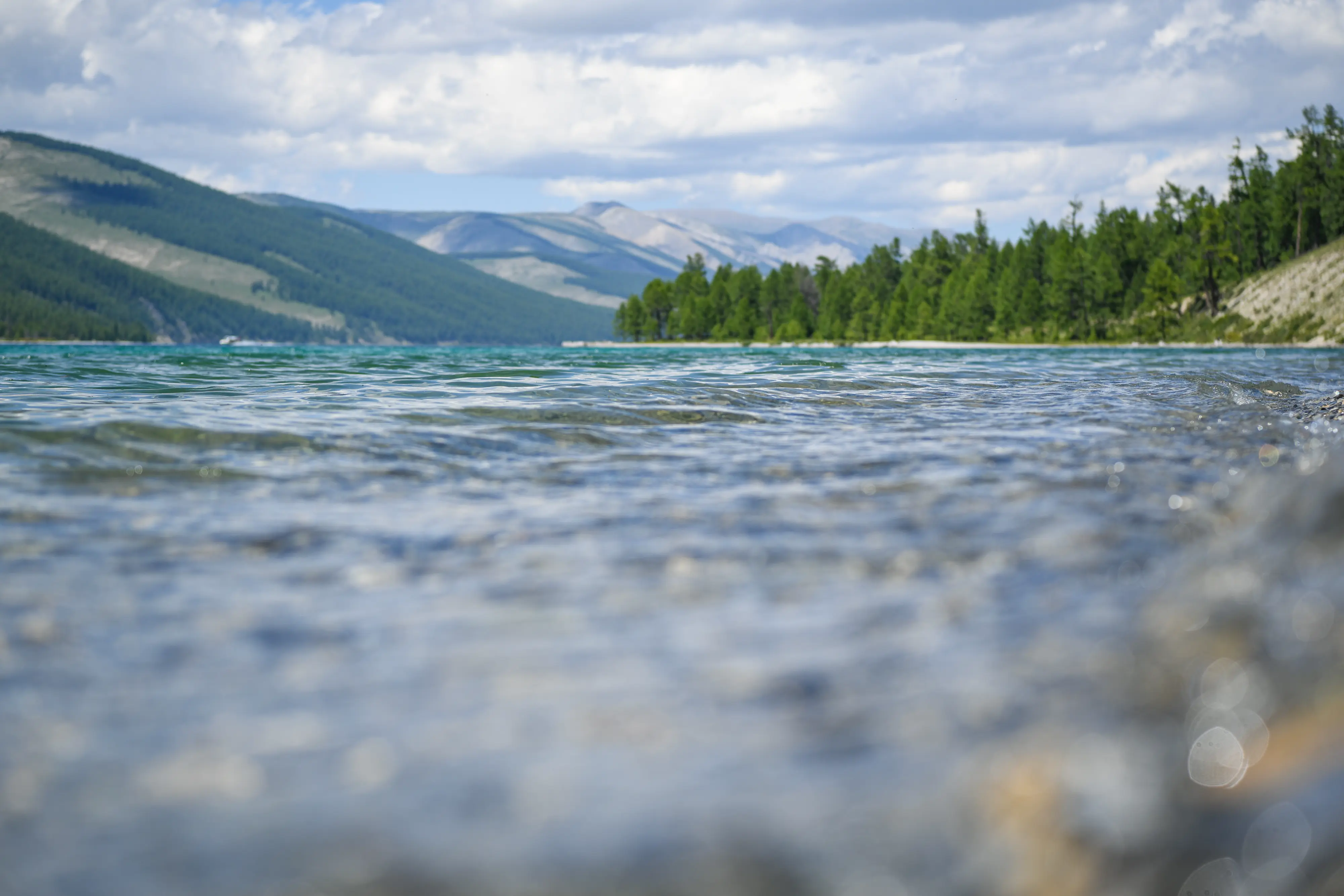 gallery — the resort — DBR_8136