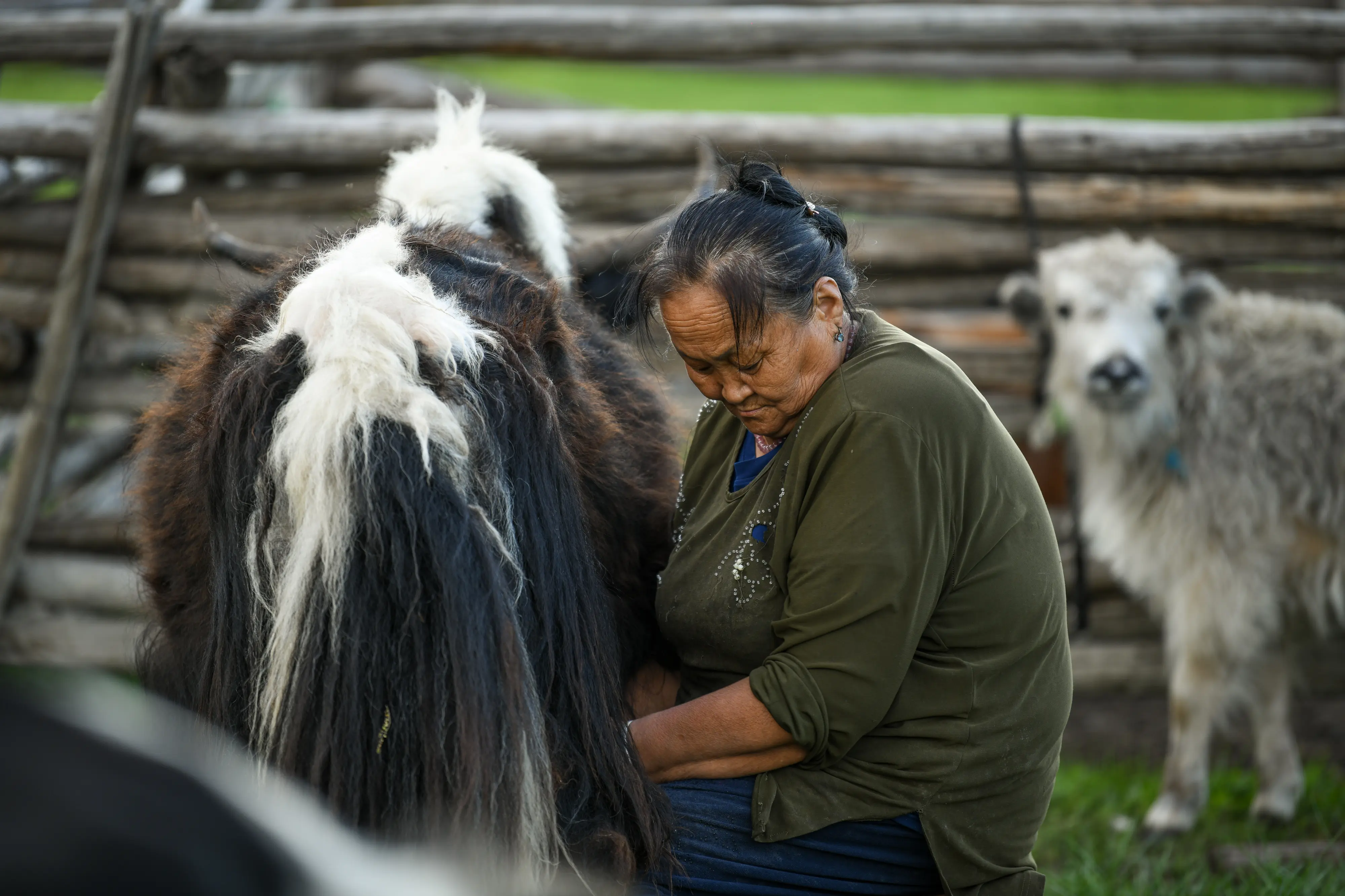 gallery — the resort — DBR_8599