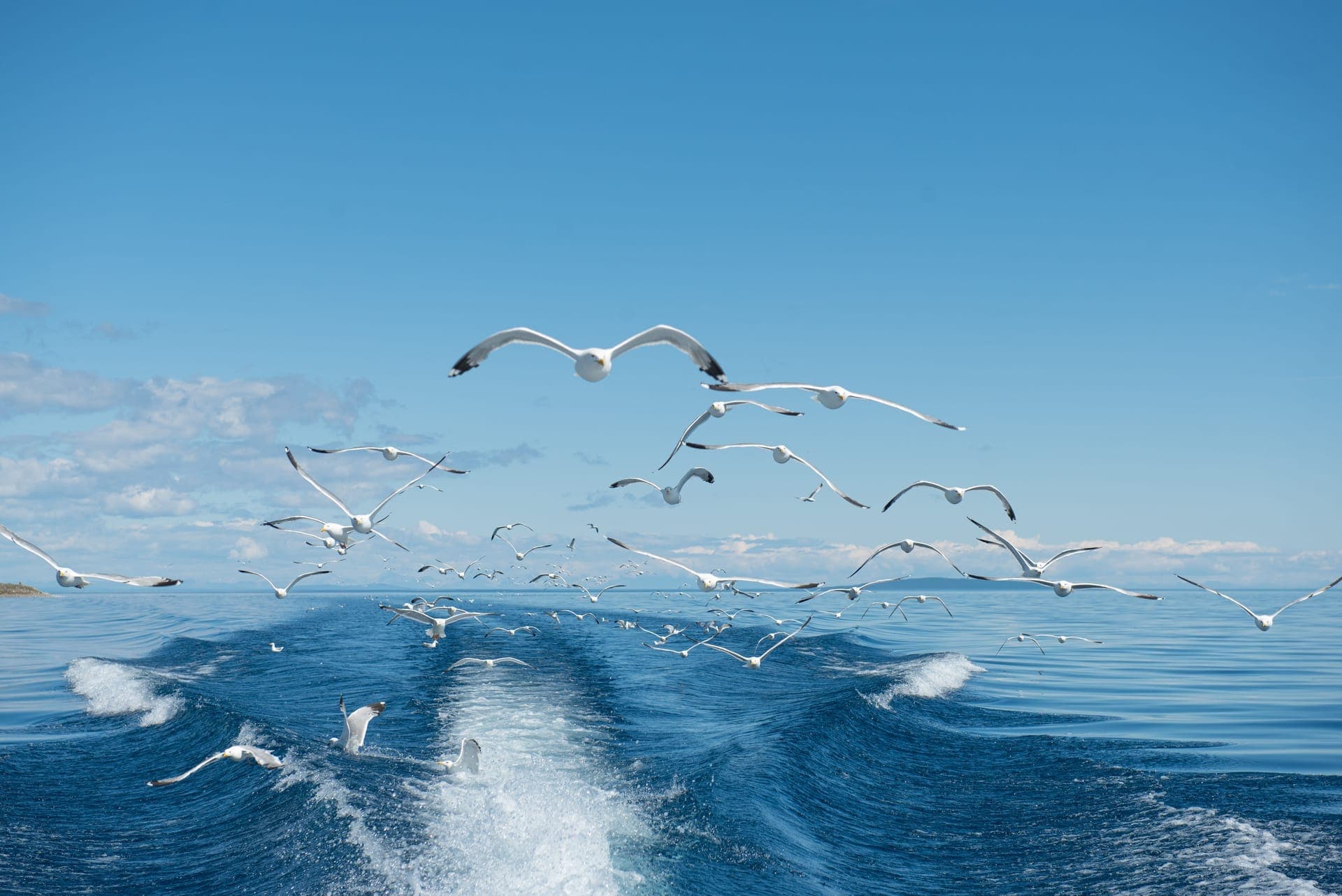 personas — disconnect en